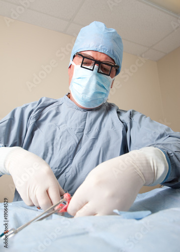 Foto Veterniarian performing spay operation on dog