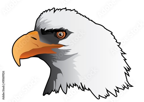 Cabeza de aguila