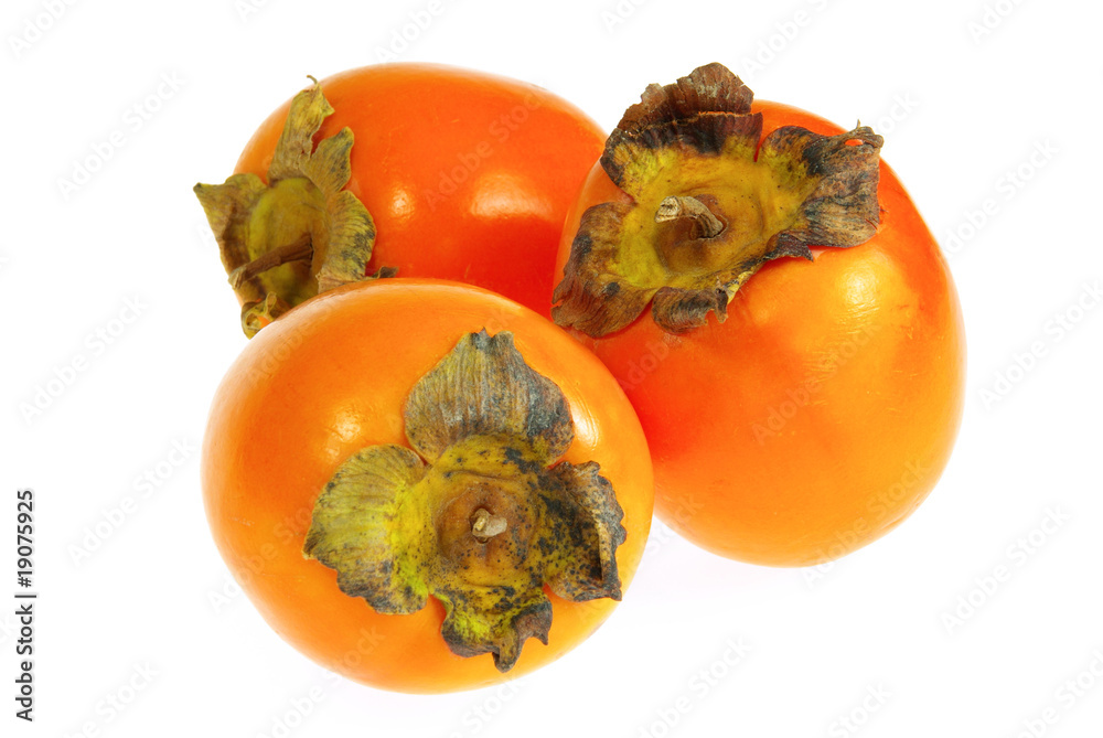 Kaki - Japanese Persimmon 05 Kaki - Japanese Persimmon 05