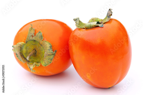 Kaki - Japanese Persimmon 11