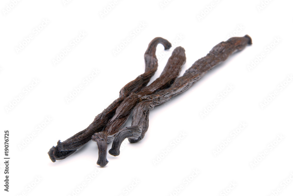 Obraz premium Vanilleschote - vanilla pod 09