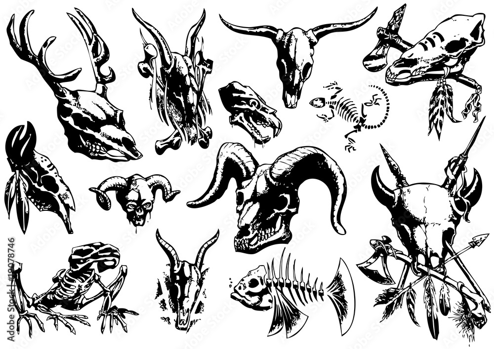 vector illustration tattoo design set (animal skull) Stock Vector | Adobe  Stock