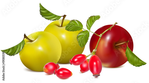 Vector illustration.  Red apple and rose hips.