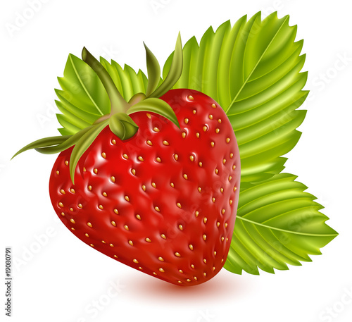 Photorealistic vector illustration. Strawberry with leaves.