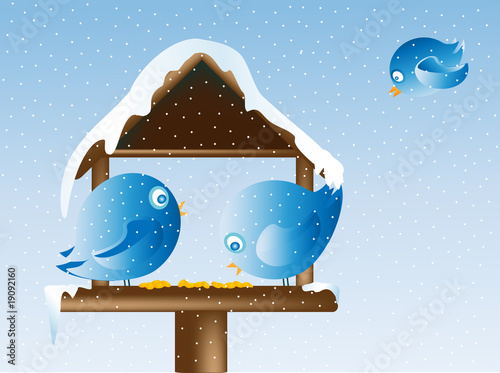 oiseaux en hiver