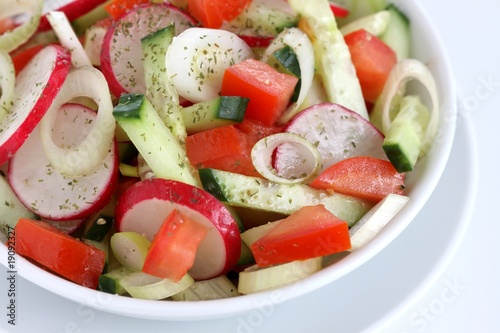 Fresh salad with radish, tomato, cucumber and spring onion