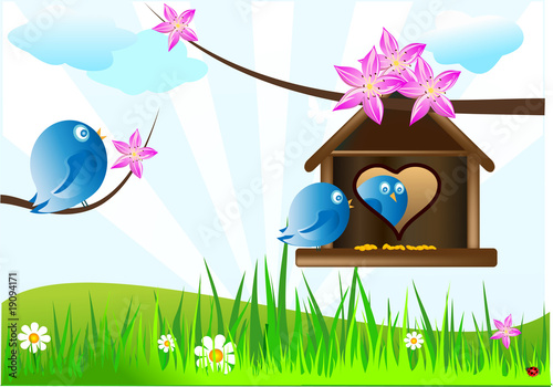 oiseaux de printemps