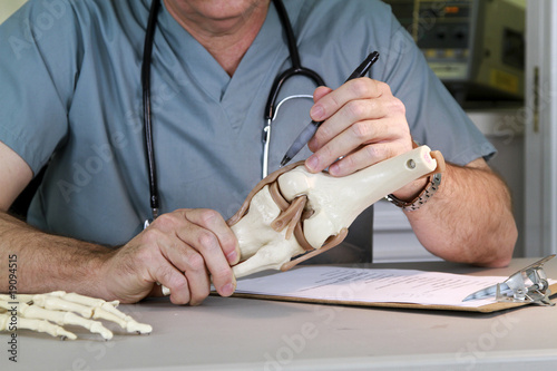 doctor studying a knee joint photo