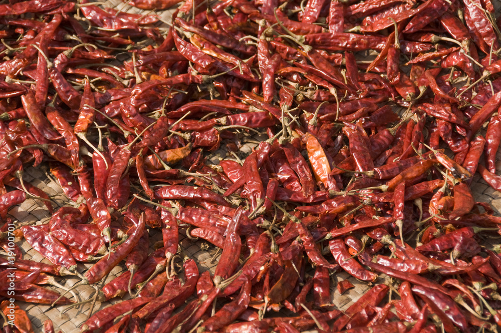 Fototapeta premium sri lanka