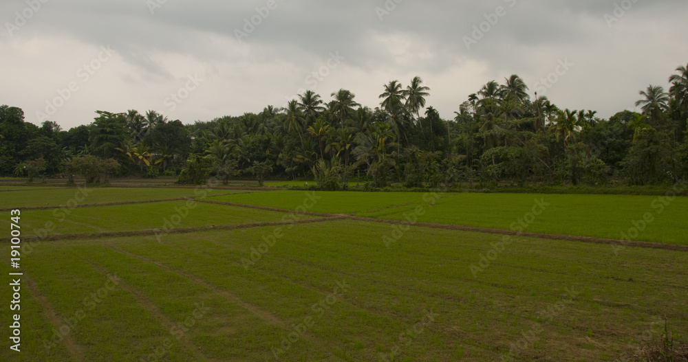 sri lanka