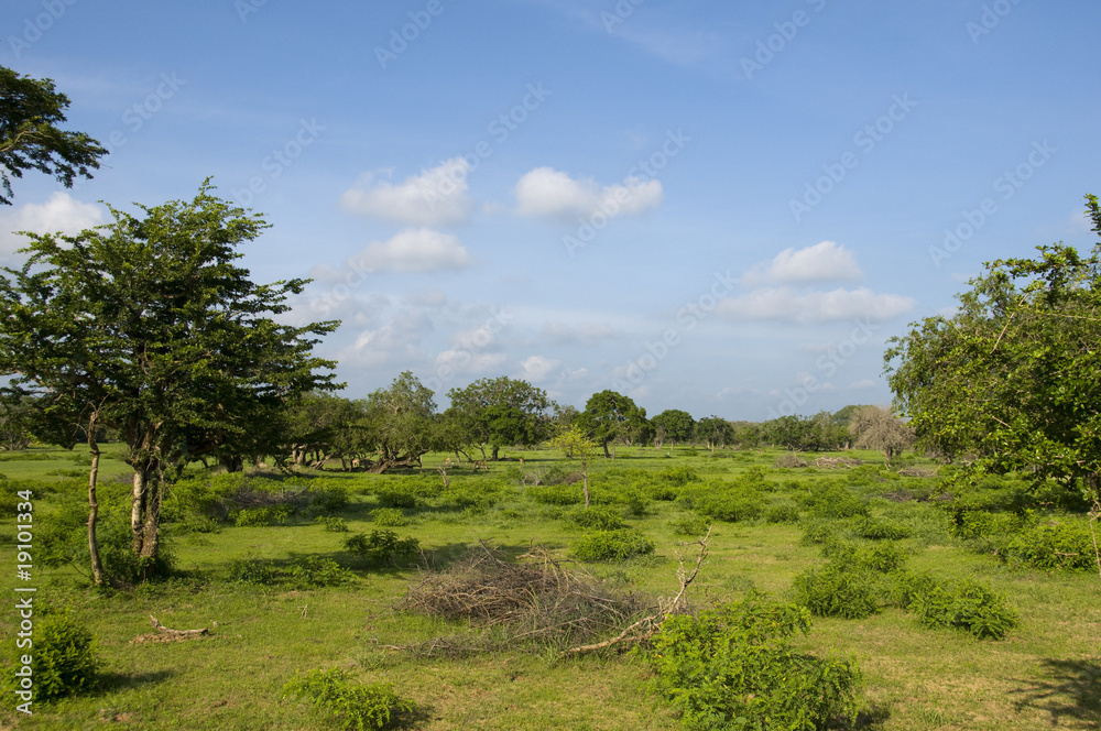 sri lanka