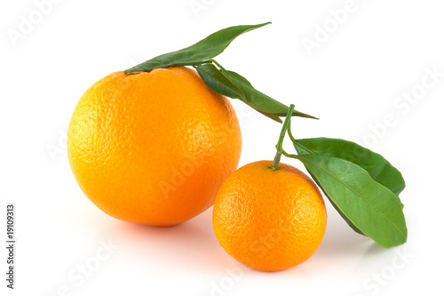 Two perfectly fresh oranges
