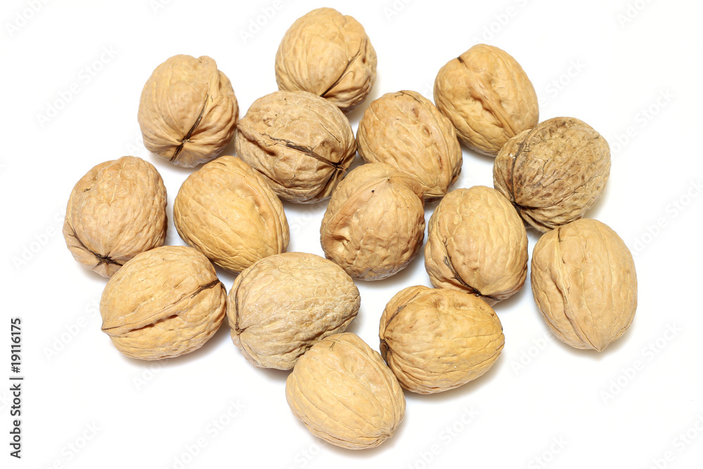 noci noci