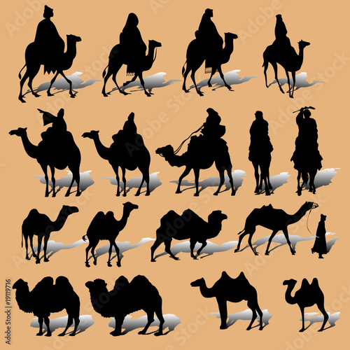 Camel vector silhouette