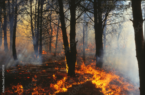 incendio forestal © fotoXS