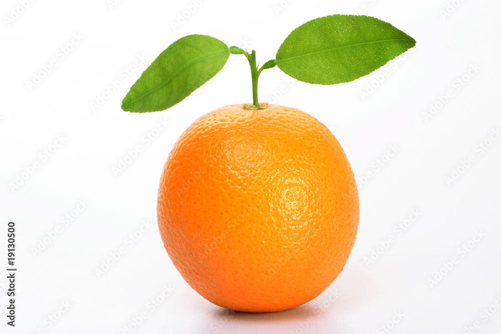 Fresh orange on white Fresh orange on white