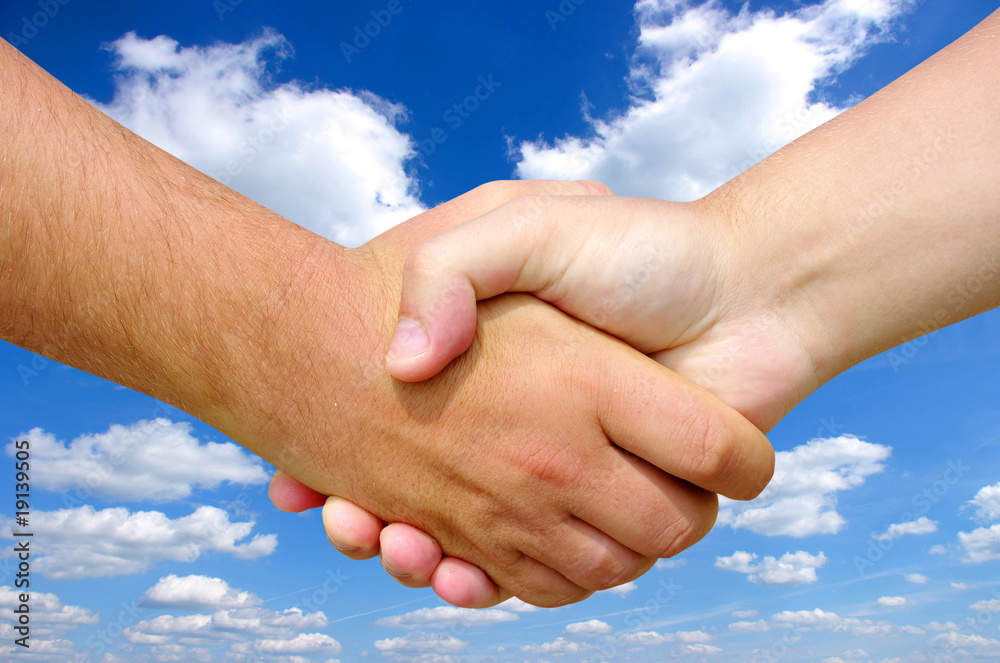 people doing handshake