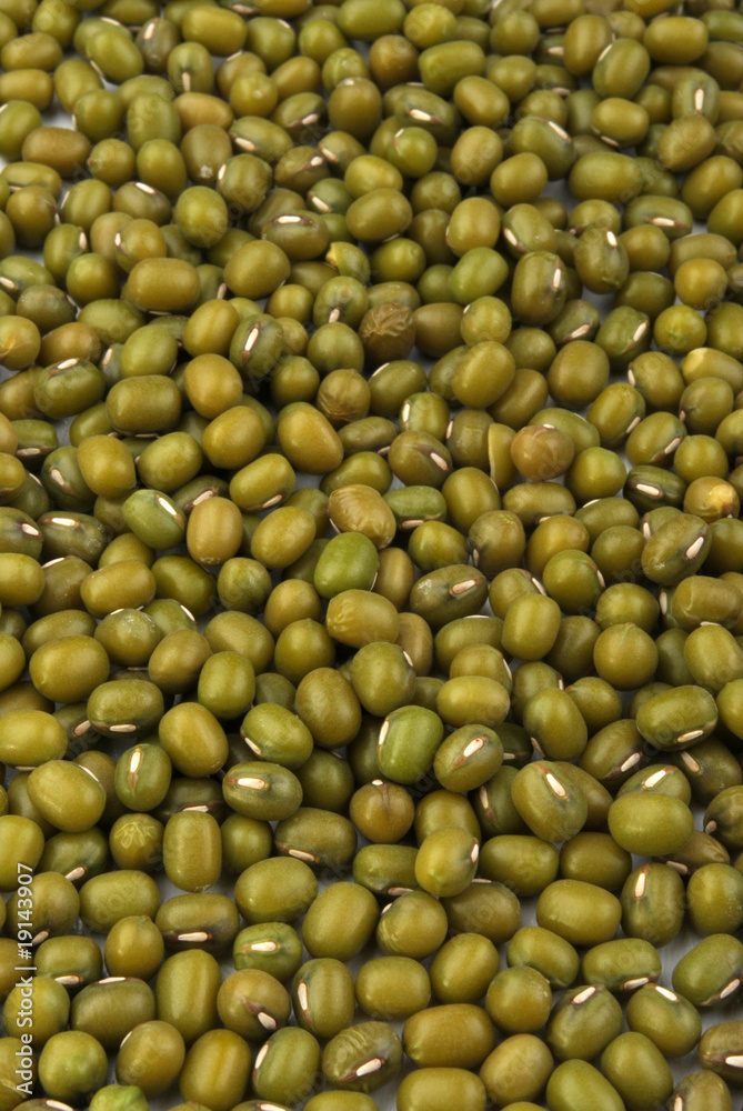 organic mung beans are good for salad