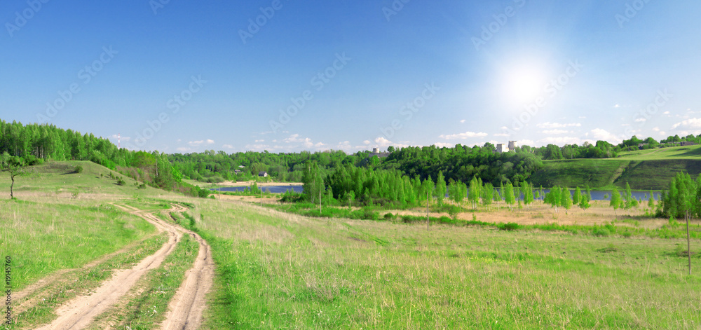 beautiful summer landscape