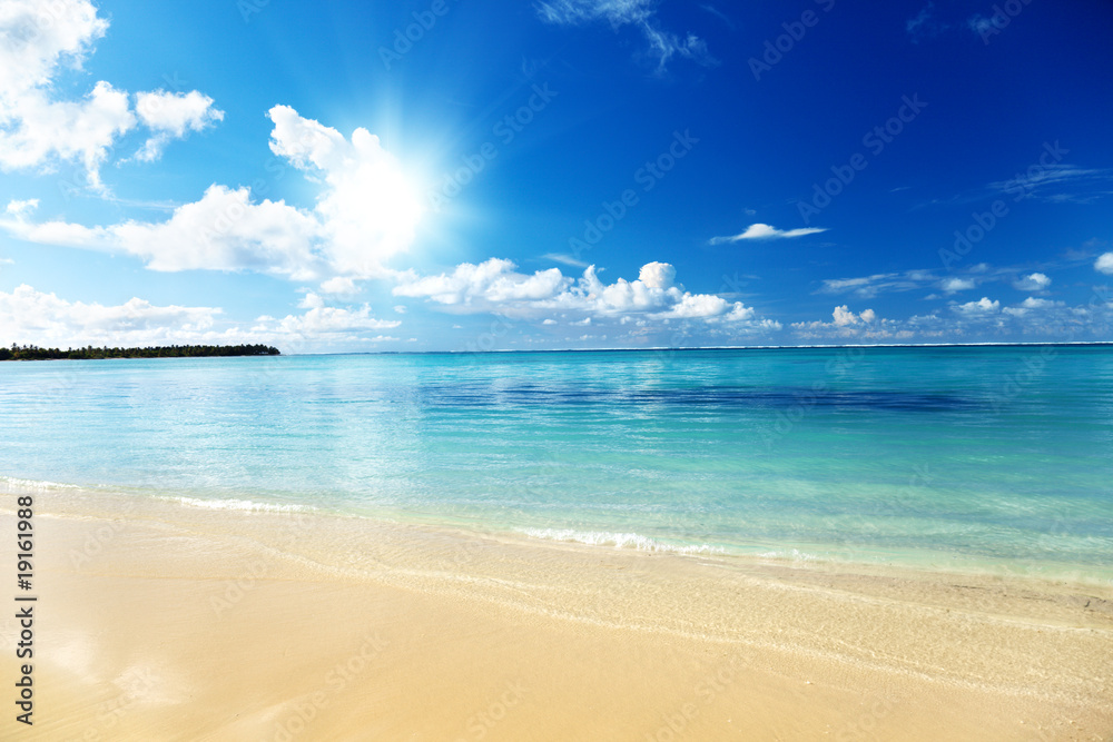 sand of beach caribbean sea