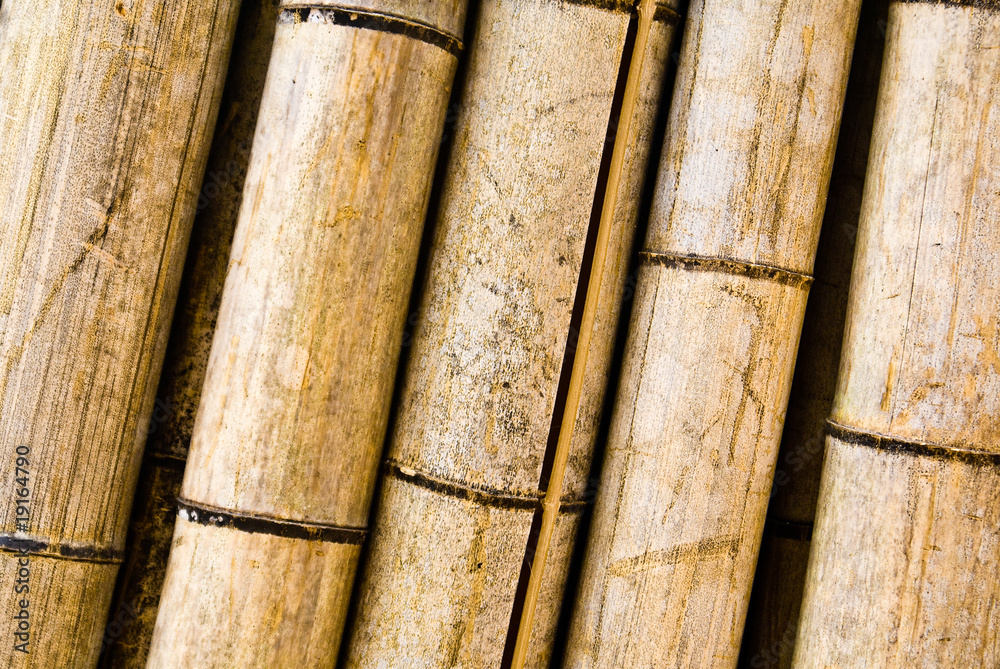 Bamboo canes at a bamboo factory in Arashiyama, Japan Bamboo canes at a bamboo factory in Arashiyama, Japan
