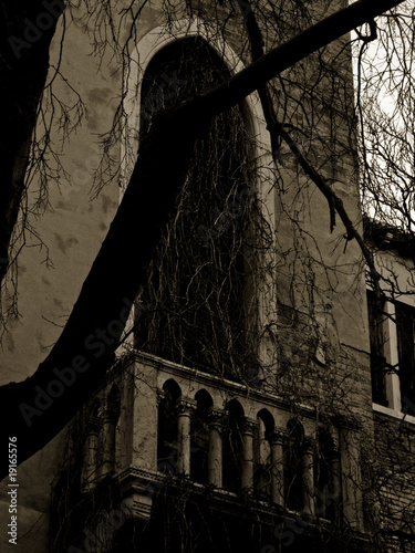 gothic church in the woods