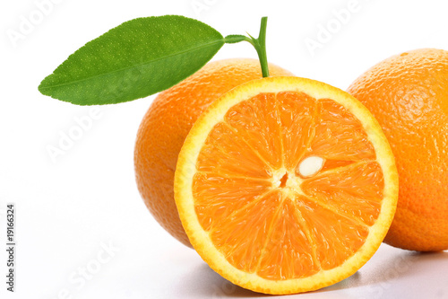 Oranges on white