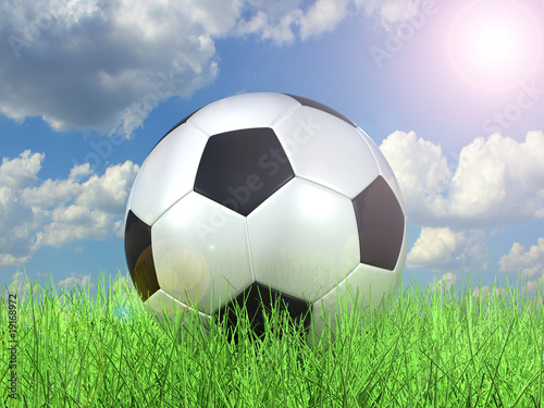 Soccer Ball on Grass