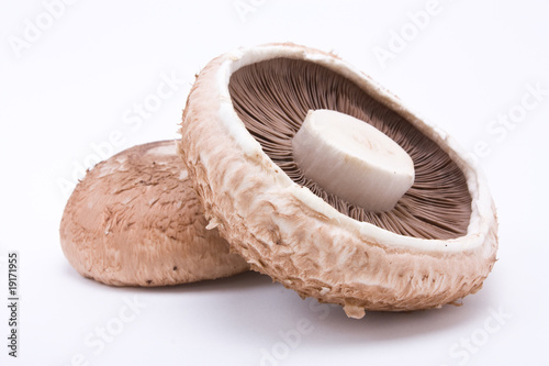 Portabello Mushroom photo