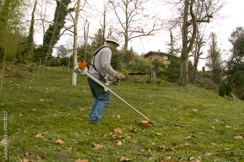cortador de cesped