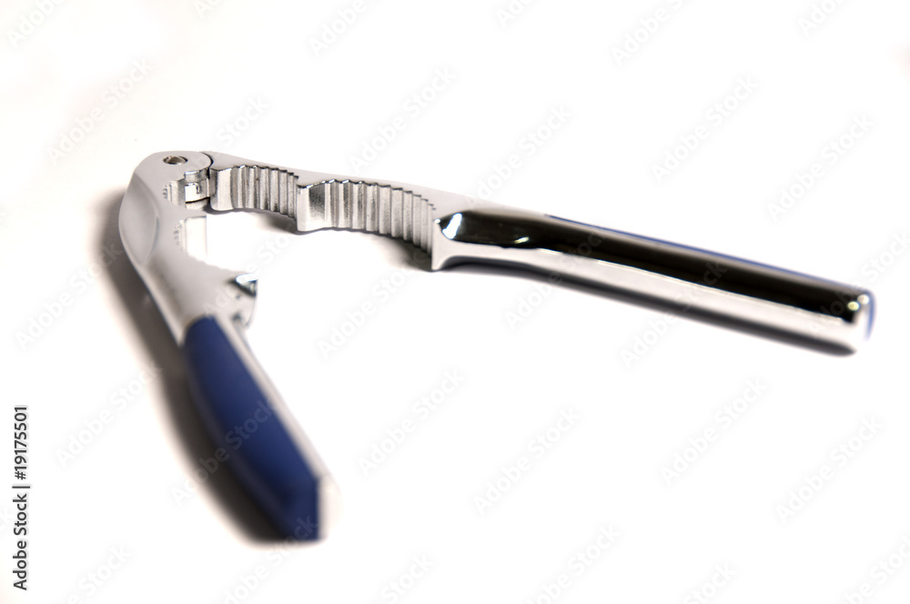 Obraz premium schiaccianoci