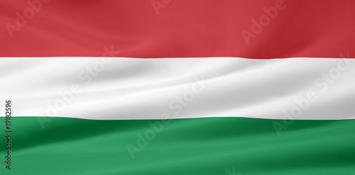 Flagge von Ungarn #19182596