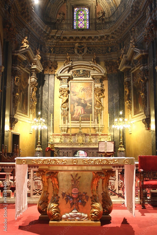 Obraz premium Monaco cathedral