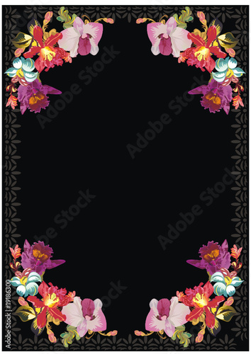 pink orchid frame on black
