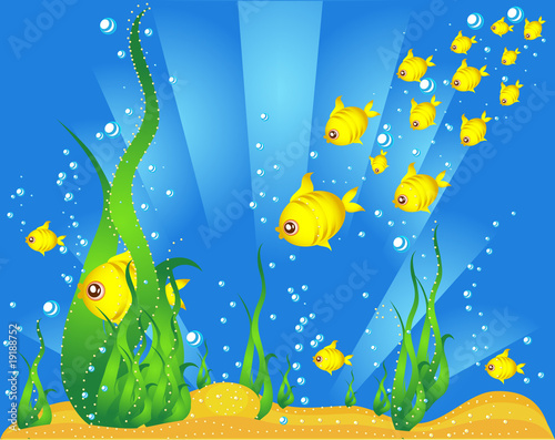 golden fishes