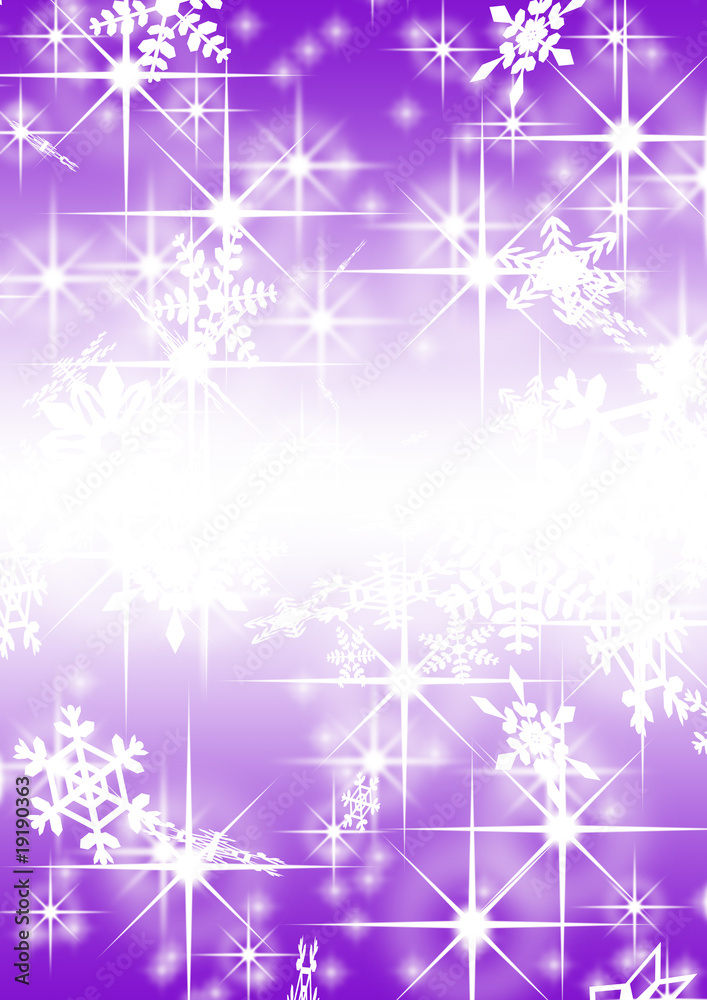 雪の結晶 雪の結晶