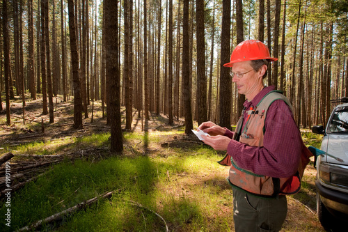Forester in a Pacific Northwest forest