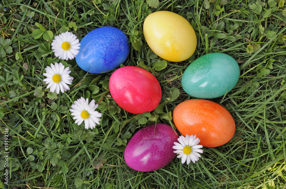 Ostereier und Gänseblümchen Ostereier und Gänseblümchen