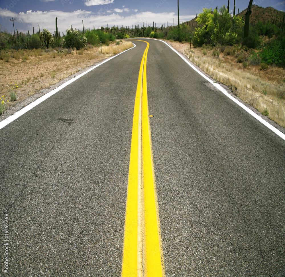 road in the Organ Pipe National Monument, Arizona, USA