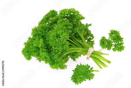 Petersilie - parsley 24