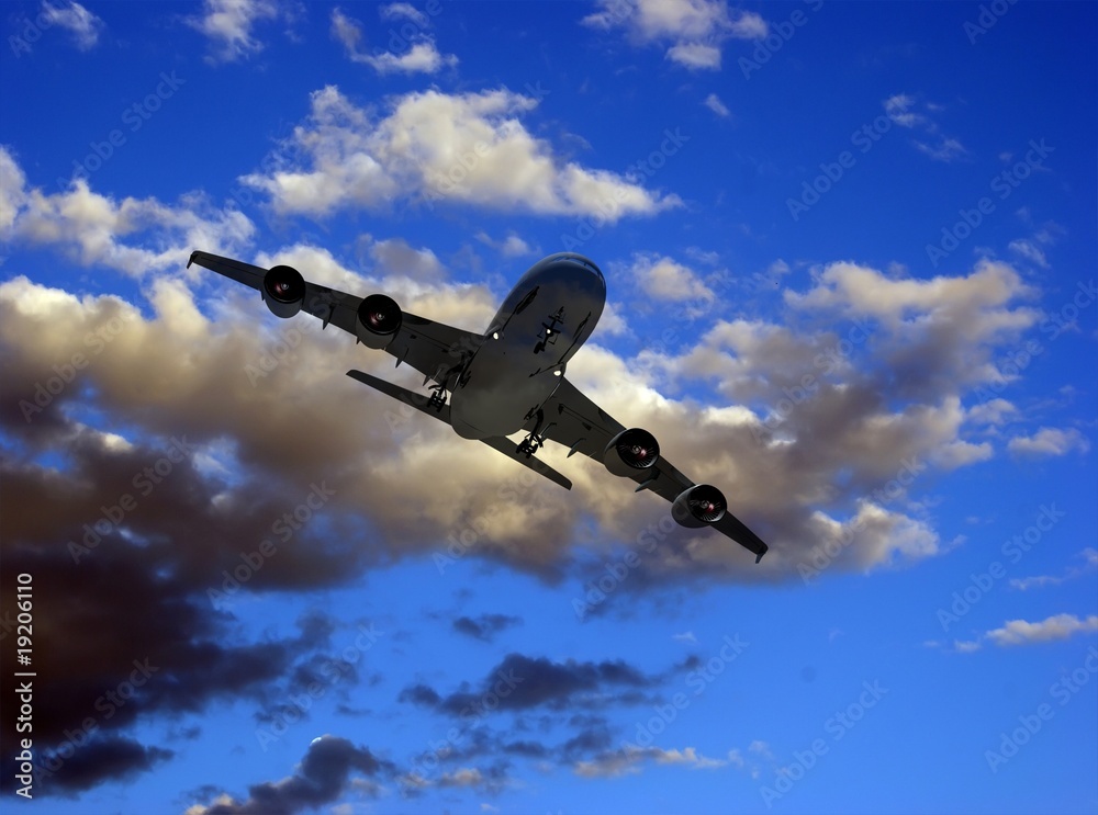 Obraz premium The plane