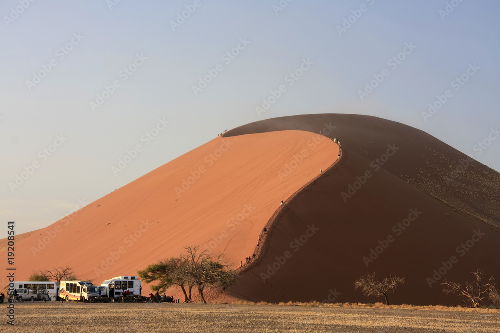 Sossusvlei sand dune 45 in the national park