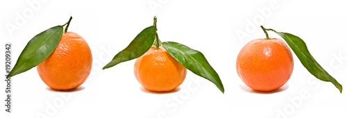 mandarinas variadas