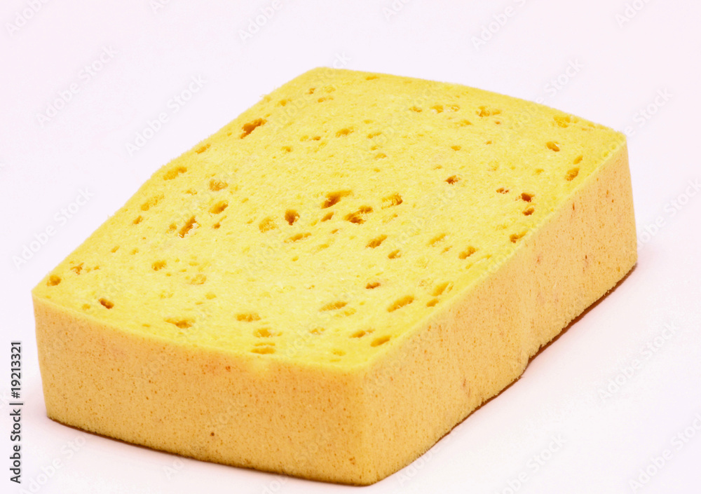 EPONGE EPONGE