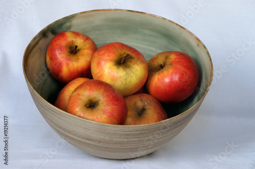 Fototapeta Naklejka Na Ścianę i Meble -  gastronomie pomme 2