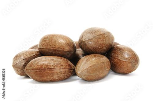 brown pecan nuts on the white background