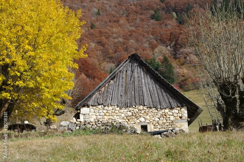 petite cabane à la campagne photo