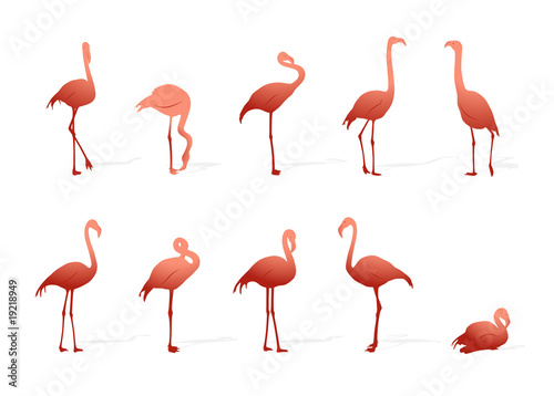 flamingo collection © Beta757