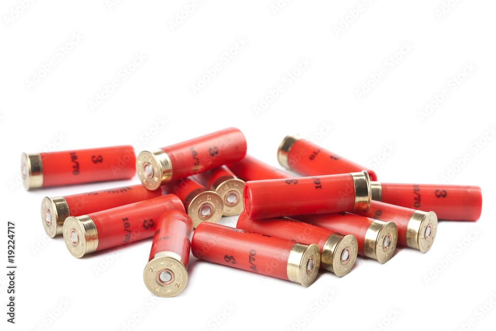 shotgun cartridges isolated over white shotgun cartridges isolated over white