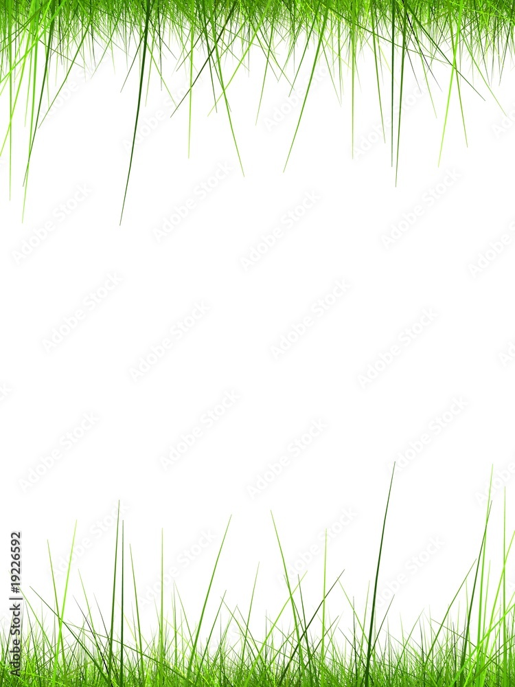 high resolution 3d green grass frame isolated on a white